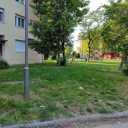 Apartman Studio Blue Subotica Exteriör bild